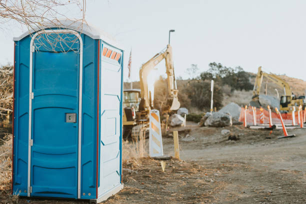 Best Local porta potty services  in Lake City, MN