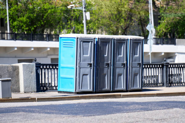 Best Affordable portable toilet rental  in Lake City, MN