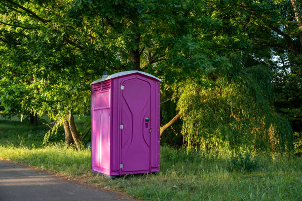 Best Portable bathroom rental  in Lake City, MN
